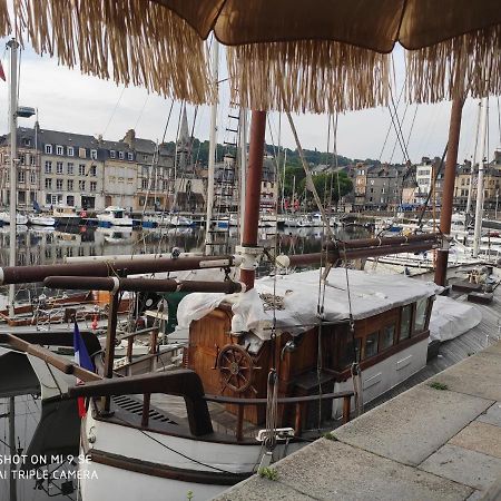 Proche Honfleur Gite Avec Piscine Экемовиль Экстерьер фото