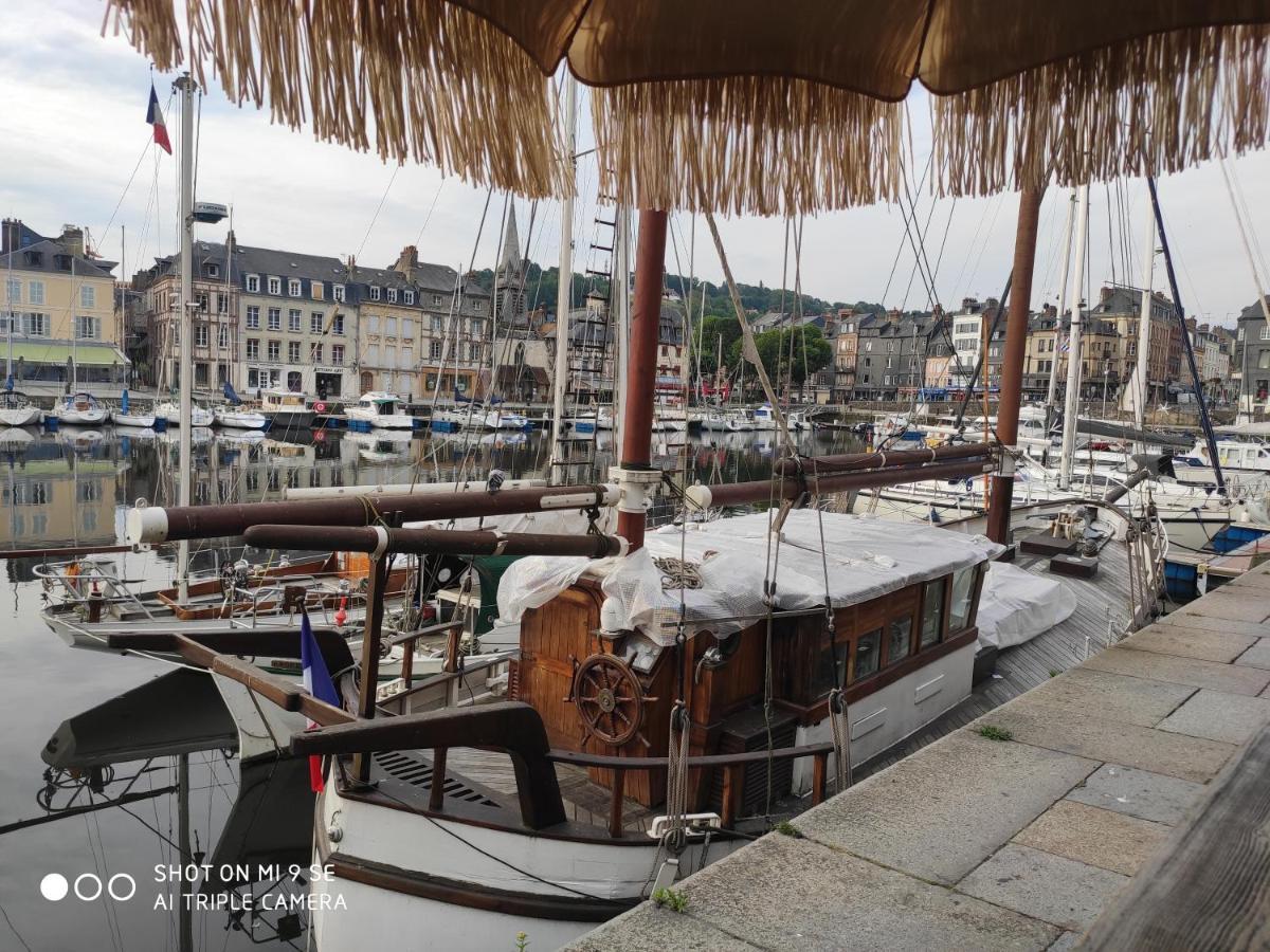 Proche Honfleur Gite Avec Piscine Экемовиль Экстерьер фото